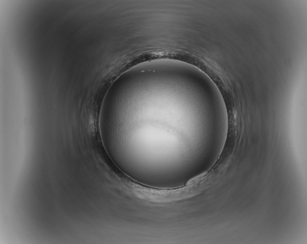 X0000116660039200912211516