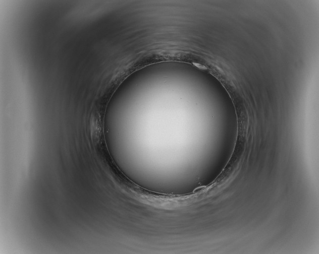 X0000116660040200912211516