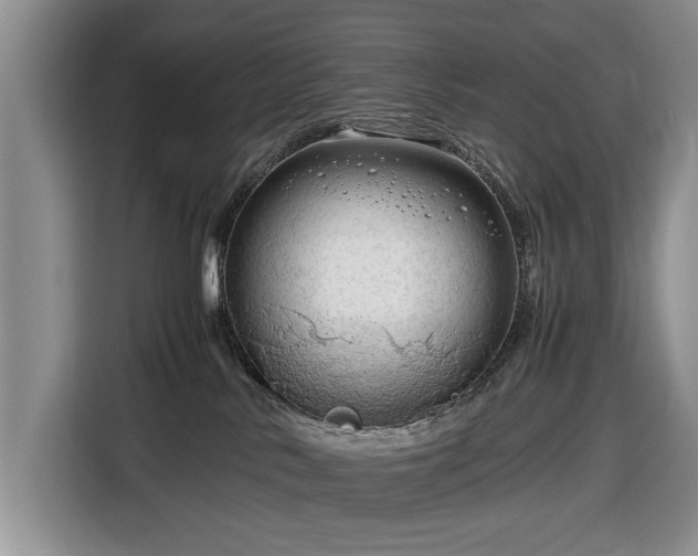 X0000116660042200912211516