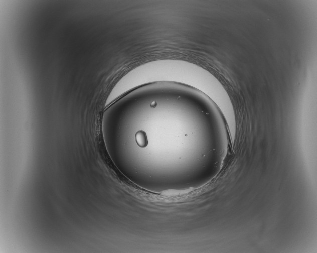 X0000116660043200912211516