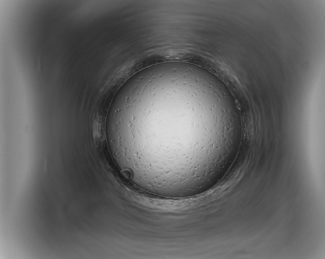 X0000116660044200912211516