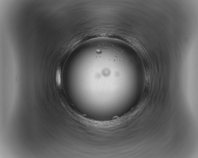 X0000116660046200912211516