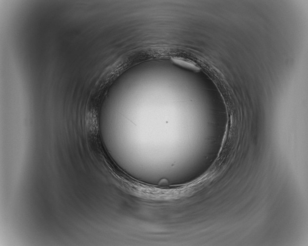 X0000116660048200912211516