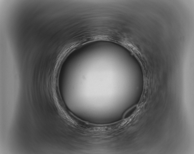 X0000116660049200912211515