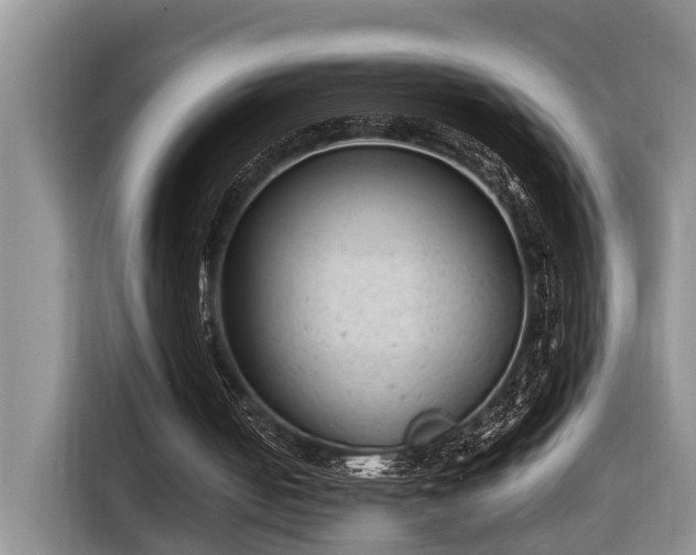 X0000116660050200912211515