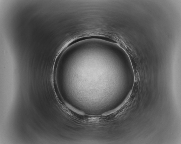 X0000116660052200912211515