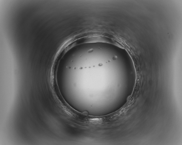 X0000116660053200912211515