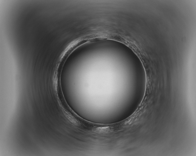 X0000116660054200912211515