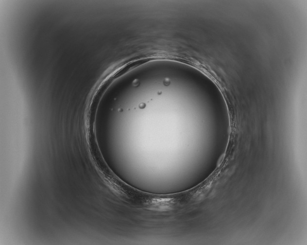 X0000116660055200912211515