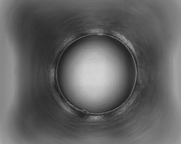 X0000116660057200912211515