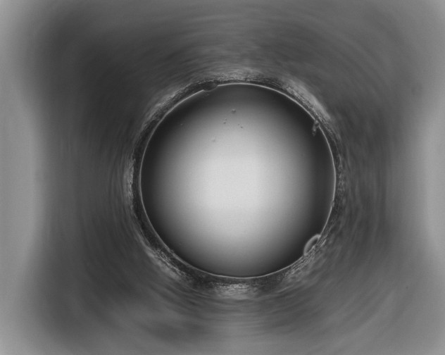 X0000116660058200912211515