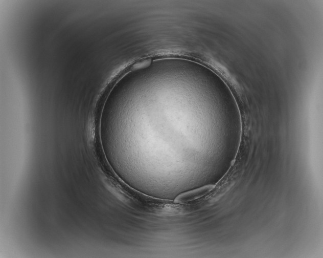 X0000116660060200912211515