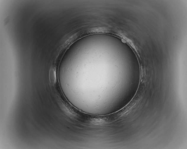 X0000116660061200912211515