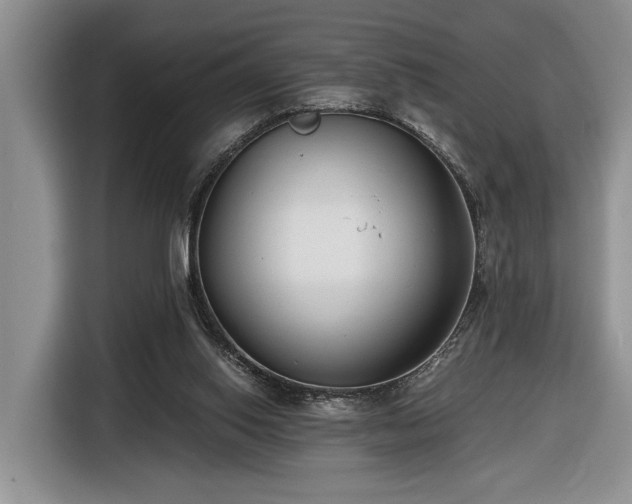 X0000116660062200912211515