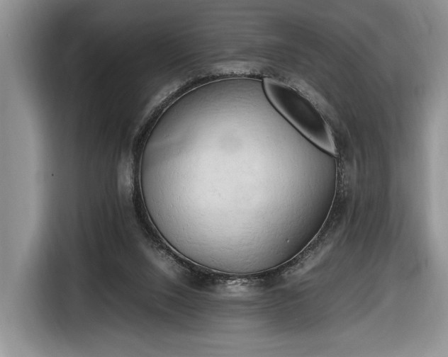 X0000116660064200912211515