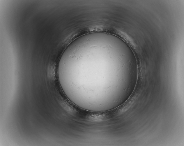 X0000116660065200912211515