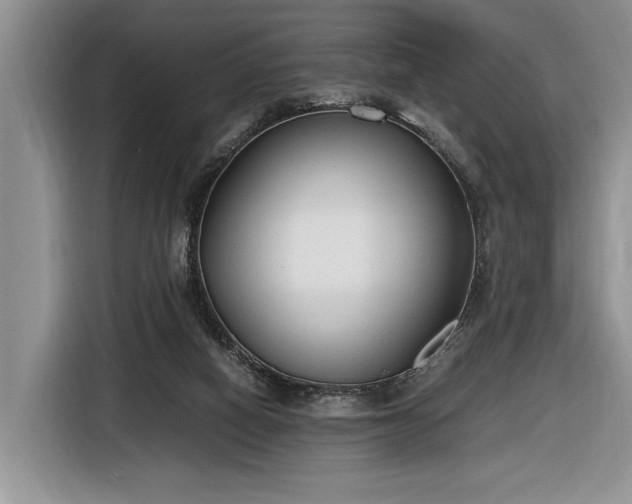 X0000116660066200912211515