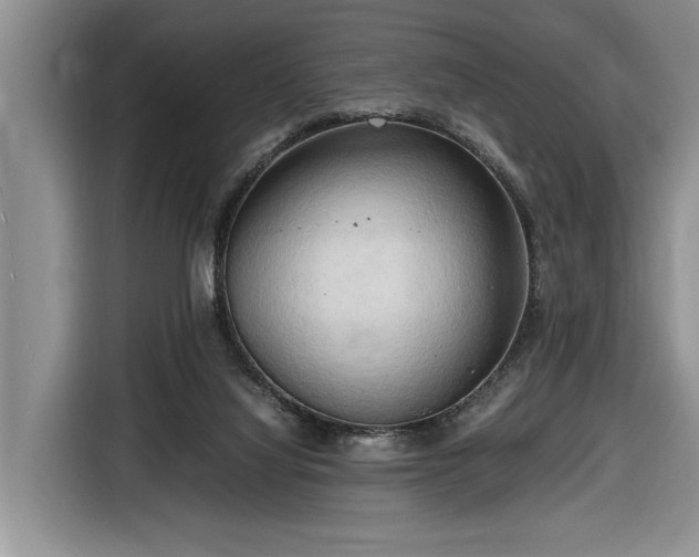 X0000116660068200912211515