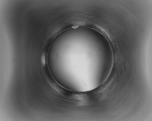 X0000116660069200912211515