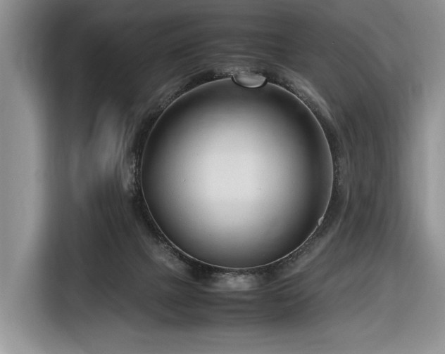 X0000116660073200912211515