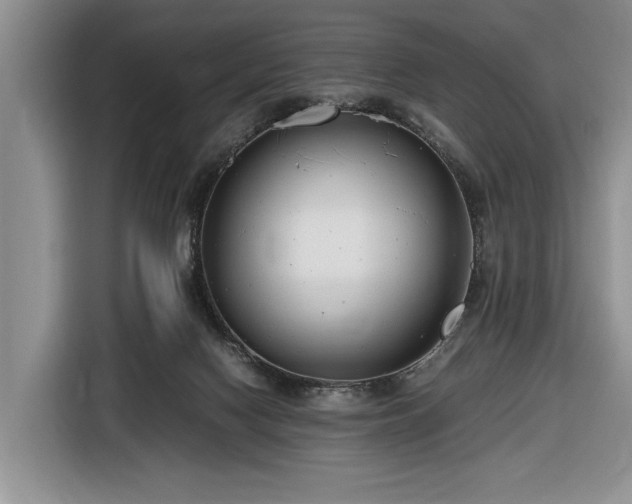 X0000116660074200912211515