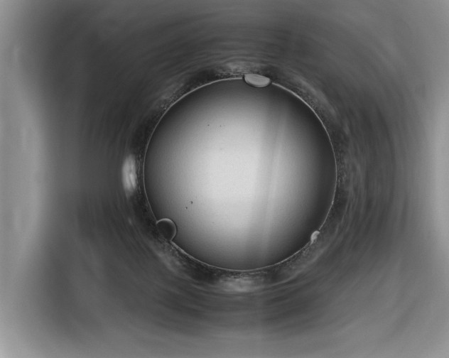 X0000116660075200912211515