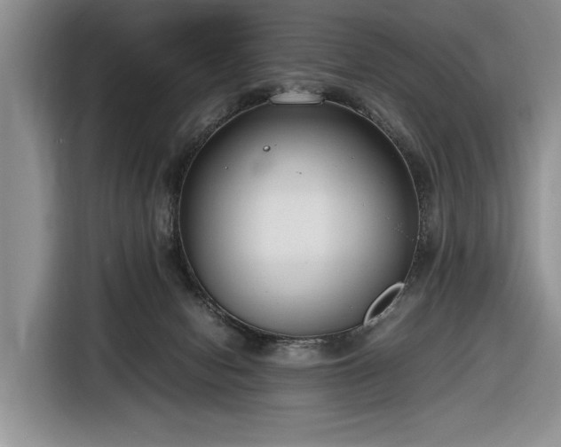 X0000116660078200912211515