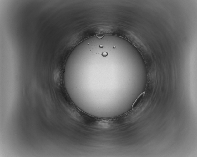 X0000116660079200912211515