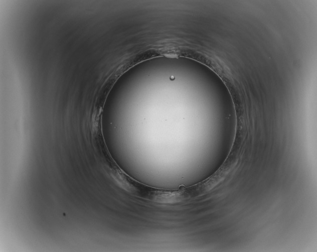 X0000116660081200912211516