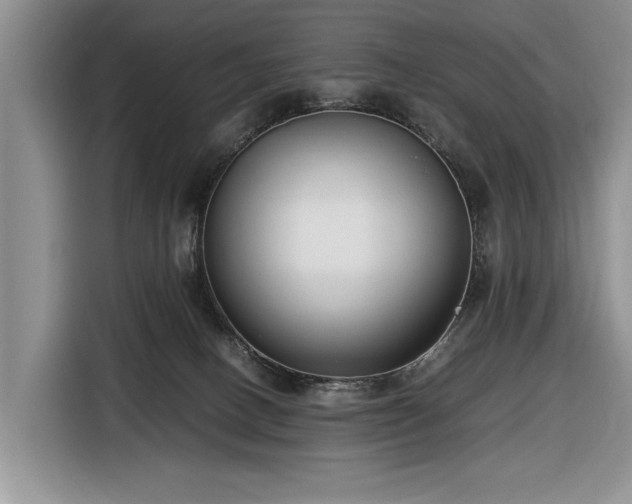 X0000116660082200912211516