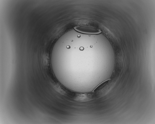 X0000116660083200912211516