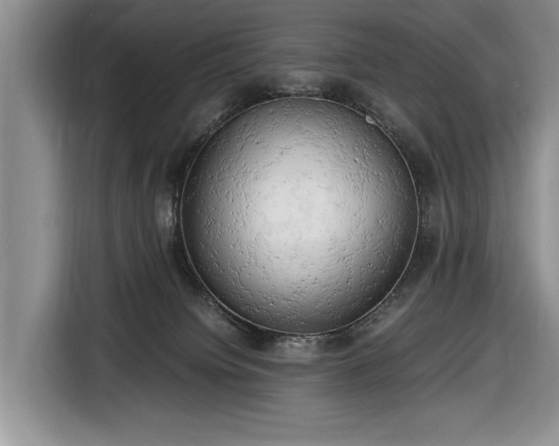 X0000116660084200912211516