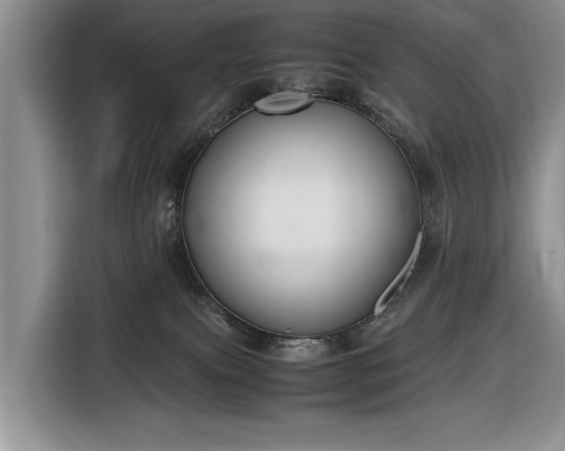 X0000116660087200912211516