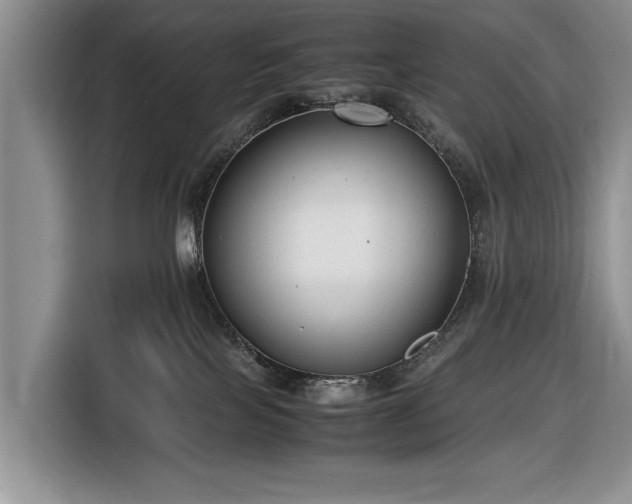 X0000116660089200912211516