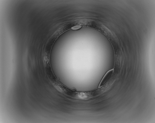 X0000116660091200912211516