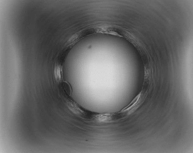 X0000116660094200912211516