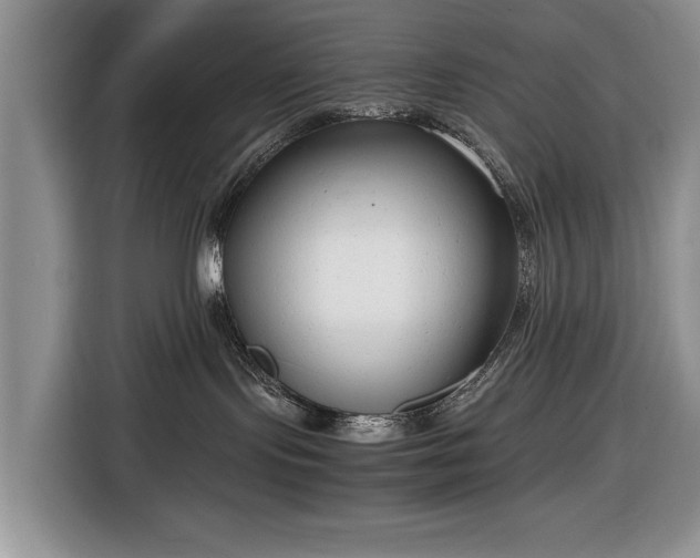 X0000116660095200912211516