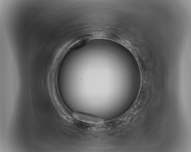 X0000116660097200912211515