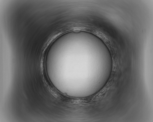 X0000116660098200912211515