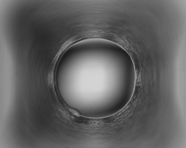 X0000116660099200912211515