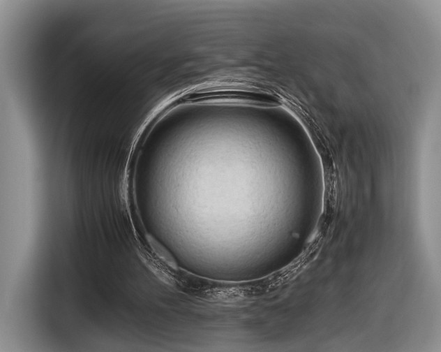 X0000116660100200912211515