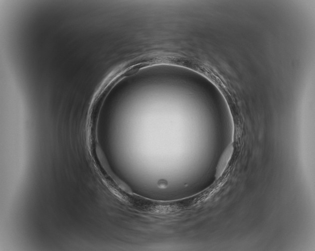 X0000116660101200912211515