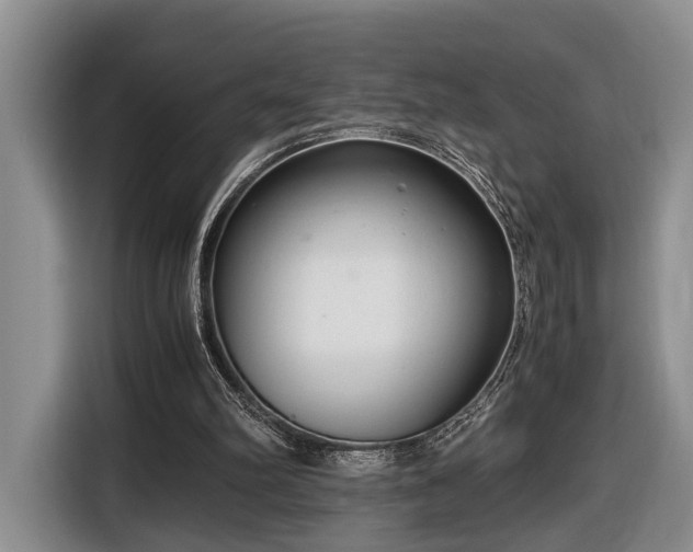 X0000116660102200912211515