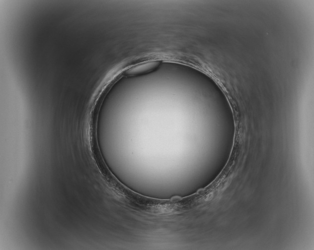 X0000116660103200912211515