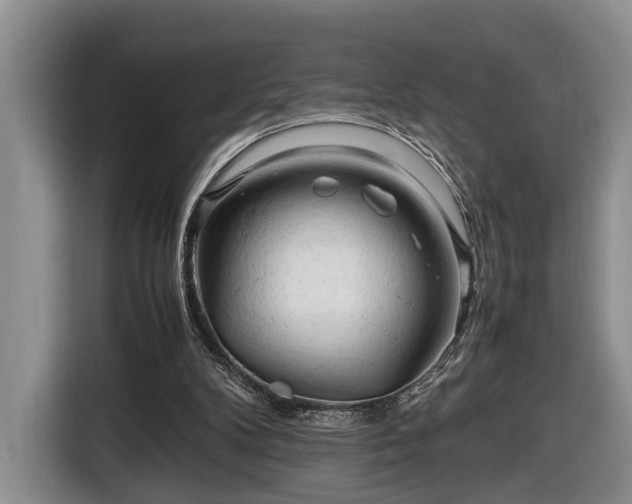 X0000116660104200912211515