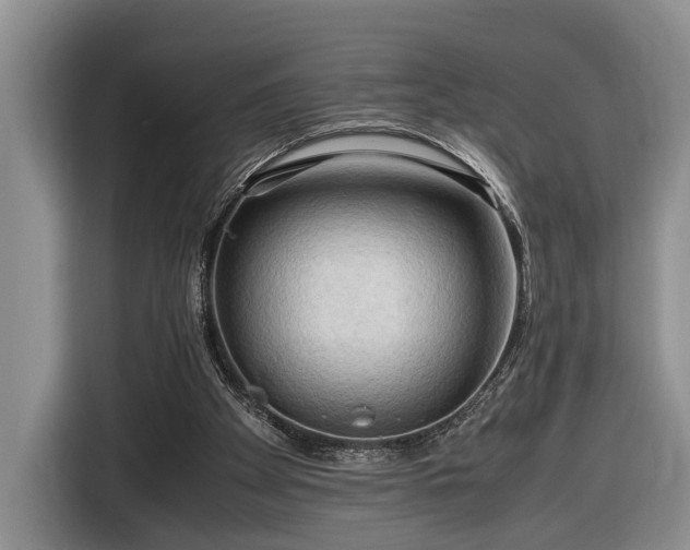 X0000116660105200912211515