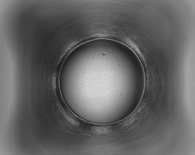 X0000116660106200912211515