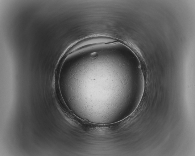 X0000116660108200912211515