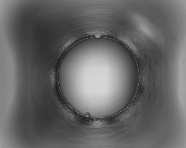 X0000116660111200912211515