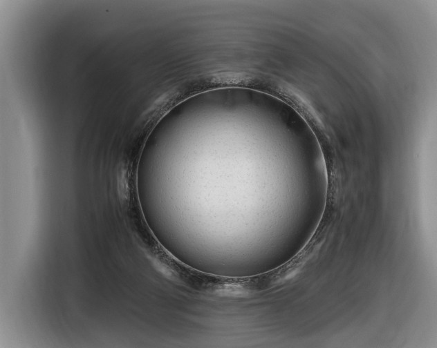 X0000116660114200912211515